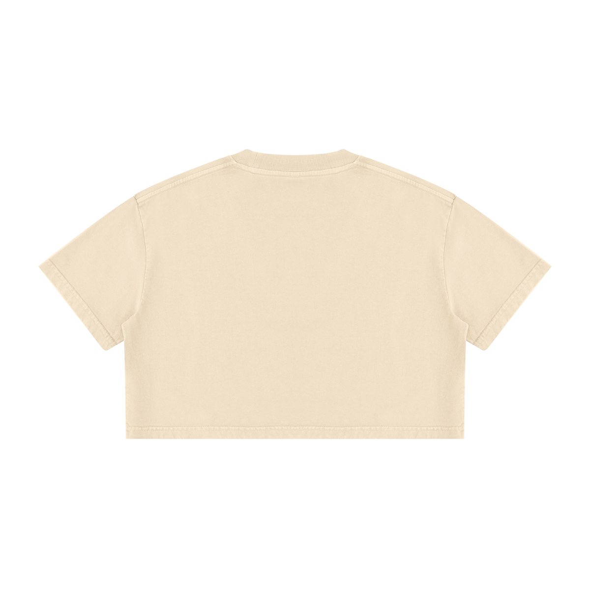 Loki & Ivy Women's Mineral Wash Cotton Crop T-Shirt