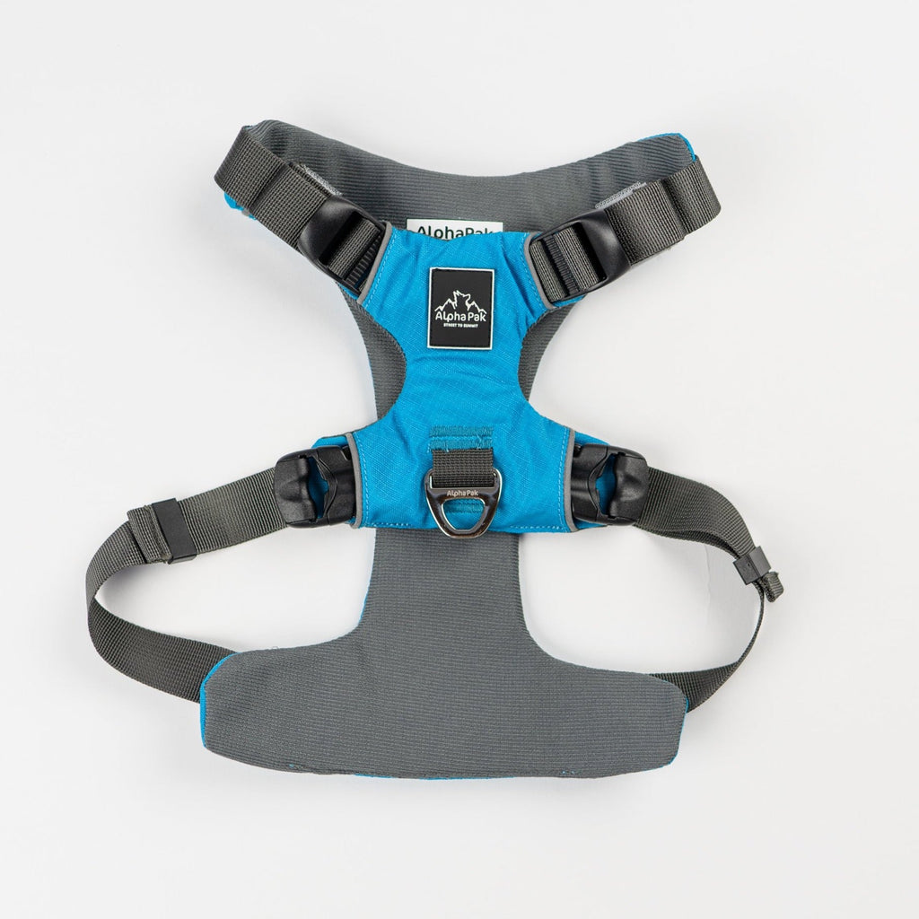 Everyday Adventure Dog Harness