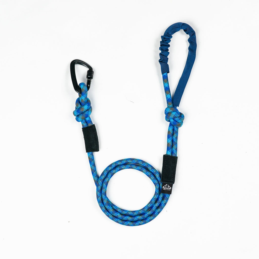 10MM Adventure Kernmantle Rope Dog Leash