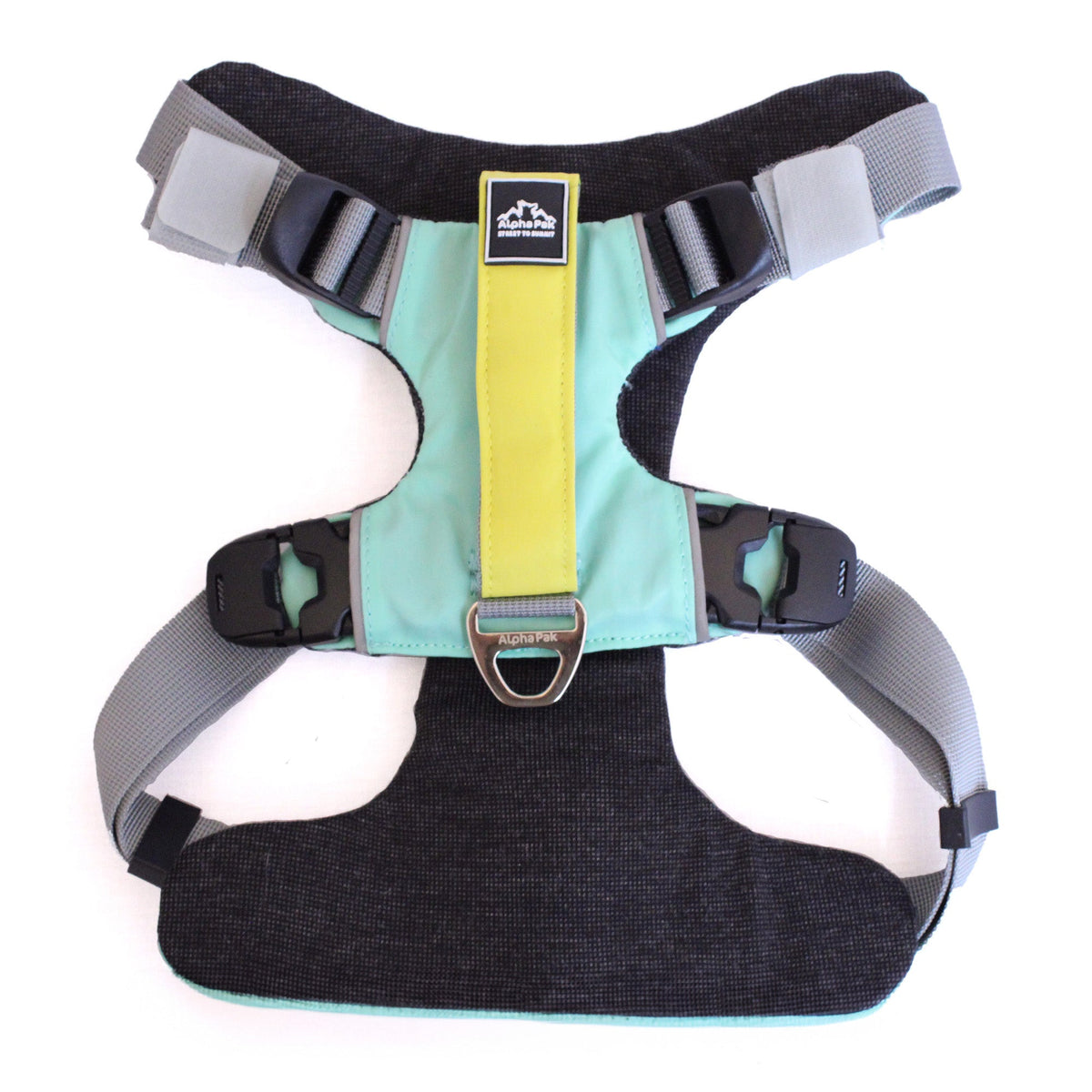 Everyday Adventure Dog Harness