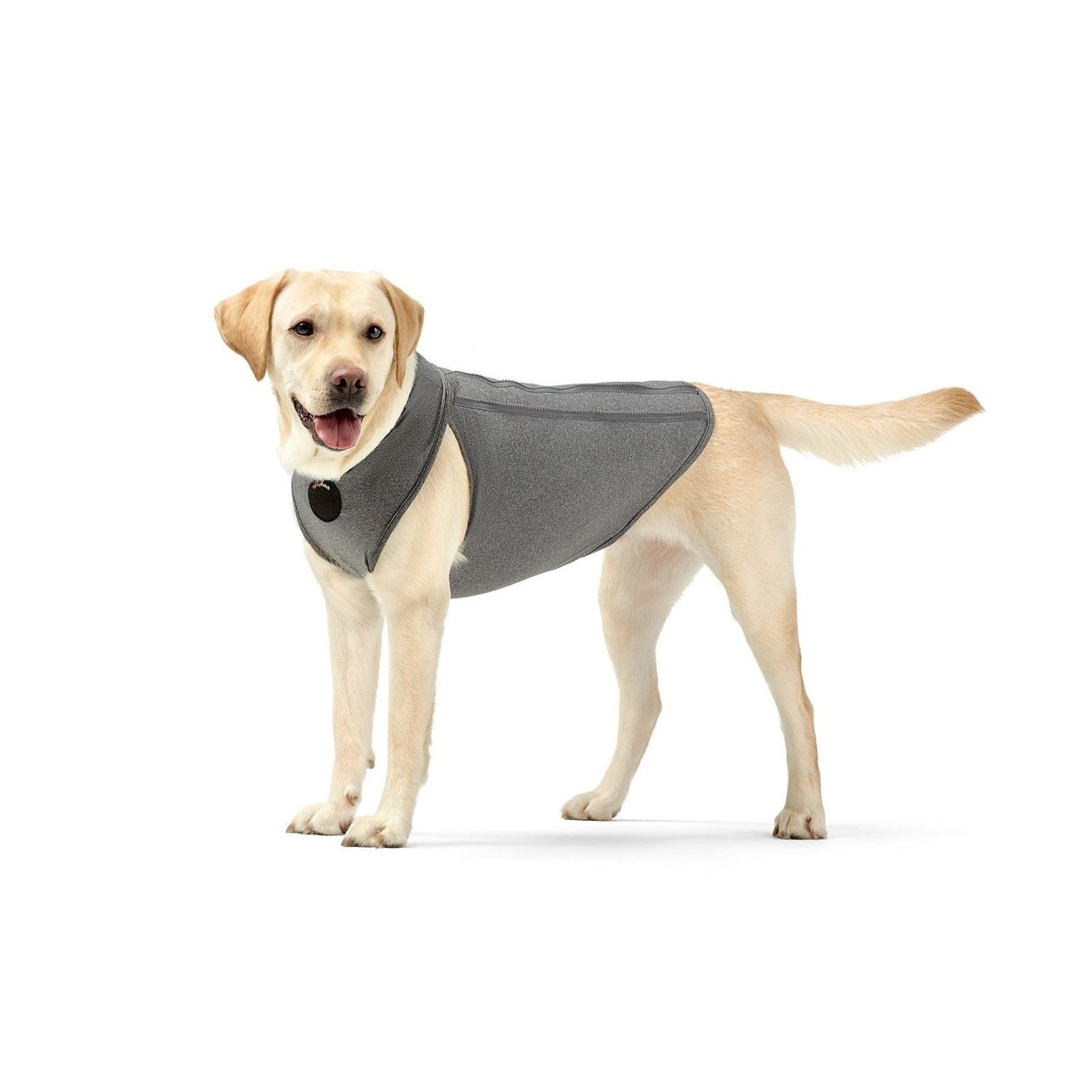 NeoAlly Upgraded Dog Surgical Recovery Vest for Dogs and Cats