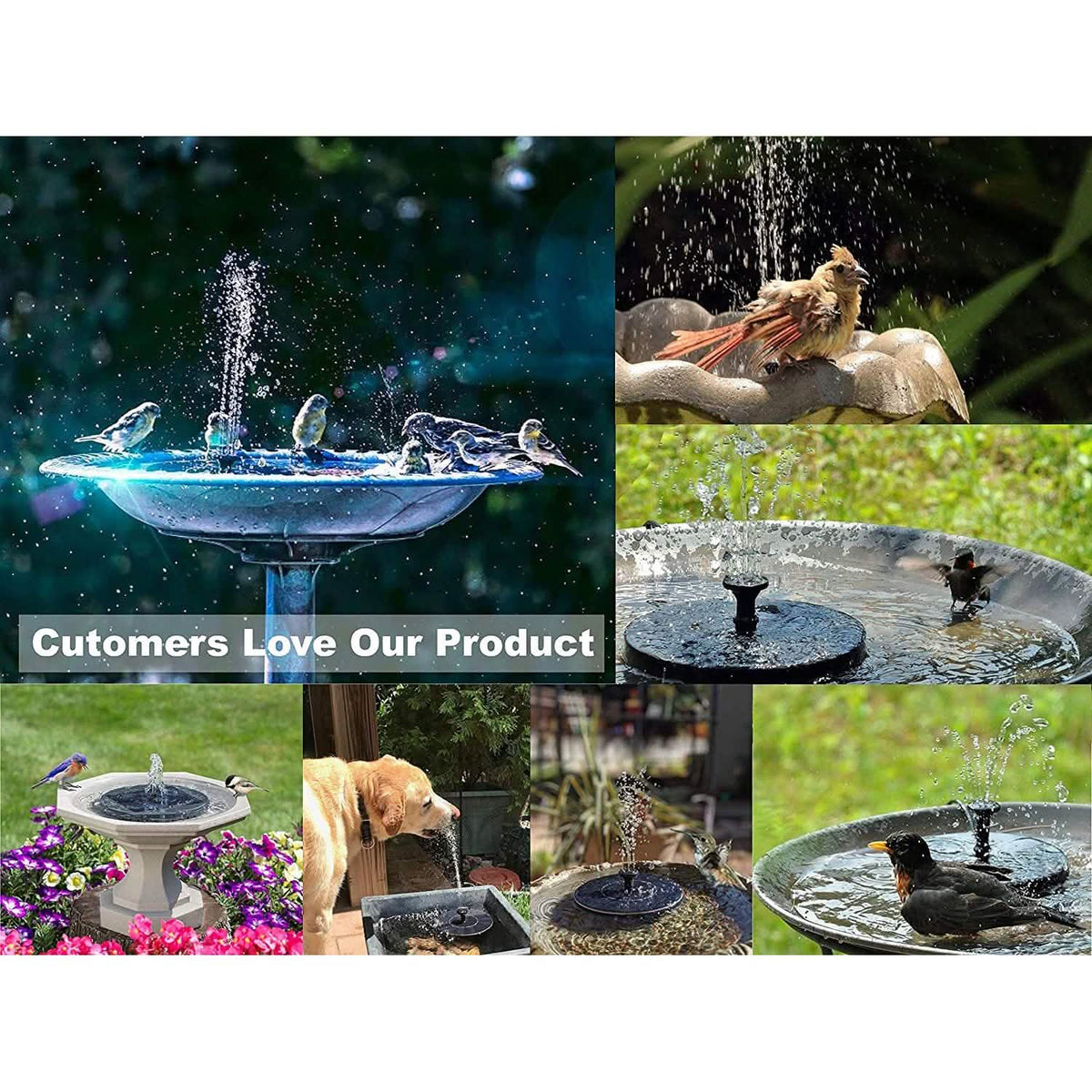 Solatec Solar Fountain
